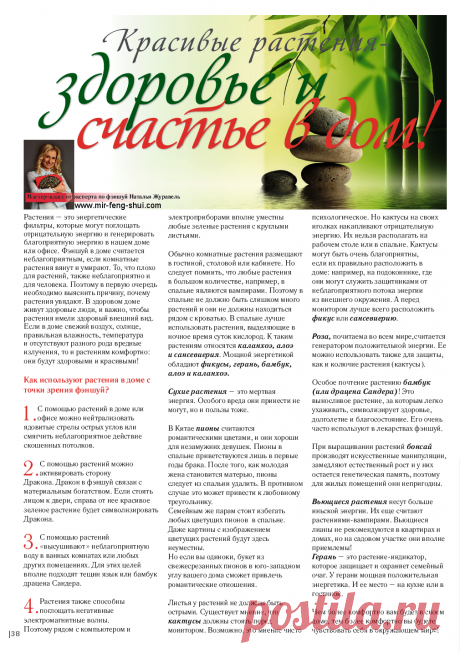Фэн-шуй комнатных растений