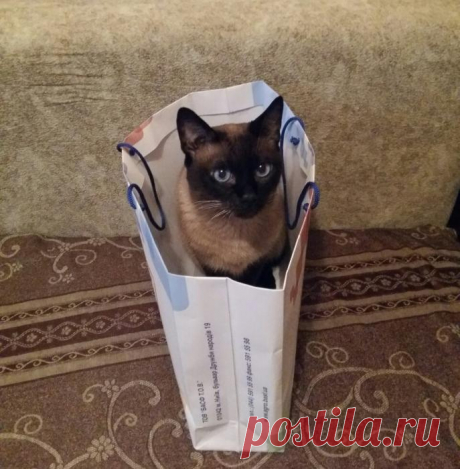 Лучший мой подарочек - это ты!