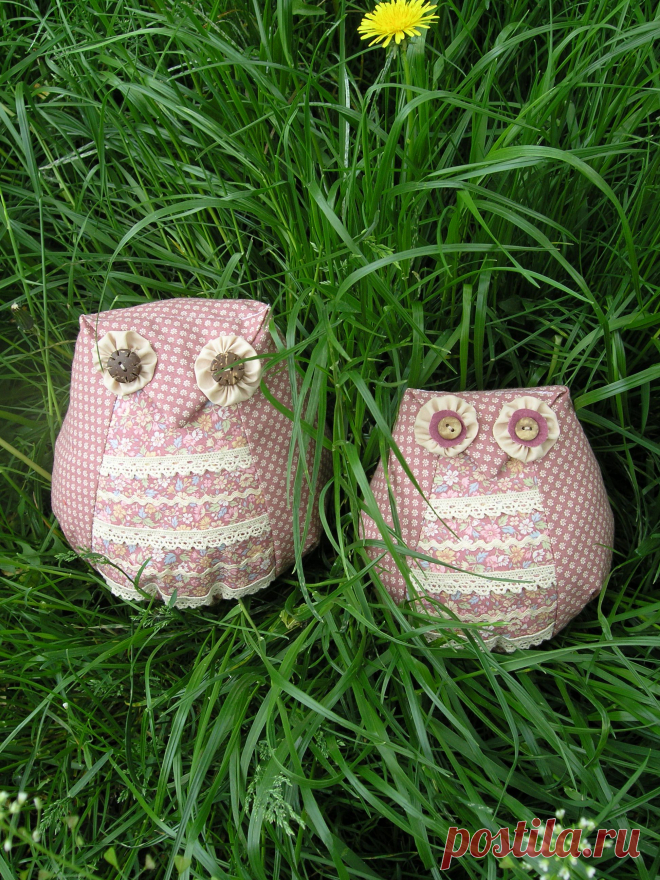 совки нежные