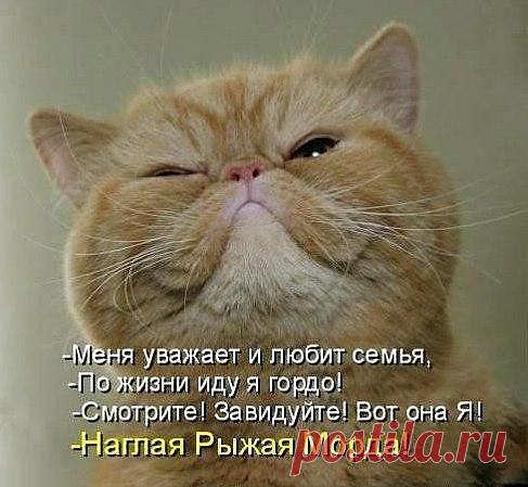 Татьяна — «arpfea1322l8.jpg» на Яндекс.Фотках