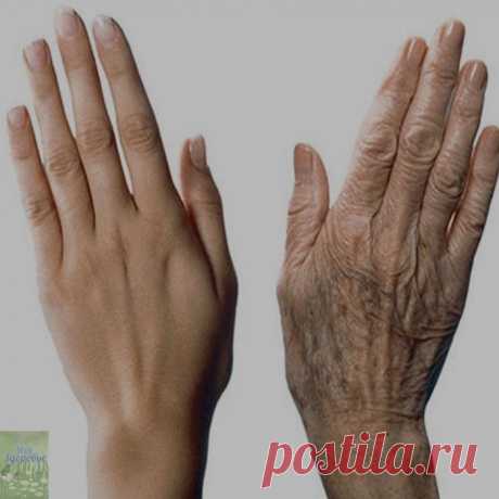 МАЗЬ ИЗ &amp;Pi;РИ&amp;Beta;ЫЧНЫХ НАМ &amp;Pi;РОДУ&amp;Kappa;ТО&amp;Beta; ДЛЯ ОМОЛОЖЕНИЯ РУ&amp;Kappa;!