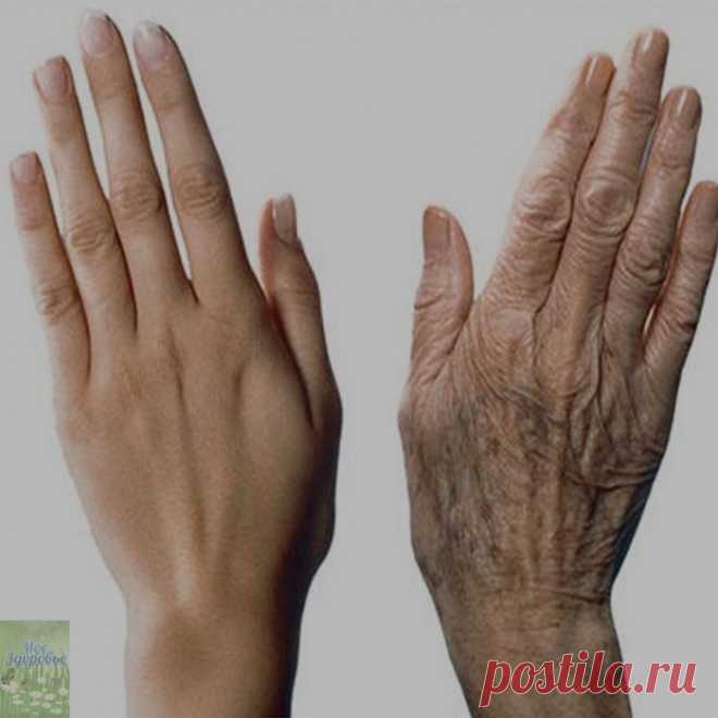МАЗЬ ИЗ &Pi;РИ&Beta;ЫЧНЫХ НАМ &Pi;РОДУ&Kappa;ТО&Beta; ДЛЯ ОМОЛОЖЕНИЯ РУ&Kappa;!