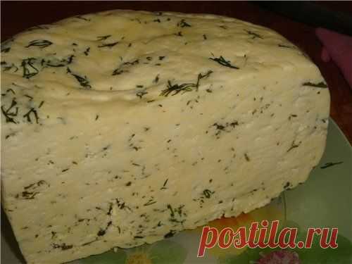 Сыр домаший с зеленью • Блюда из творога и сыра
