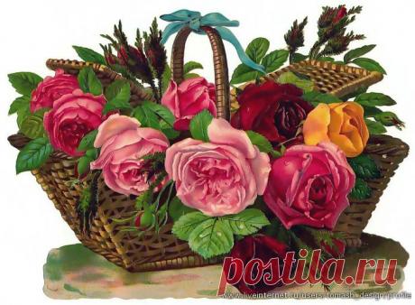 Цветы на старинных откытках.