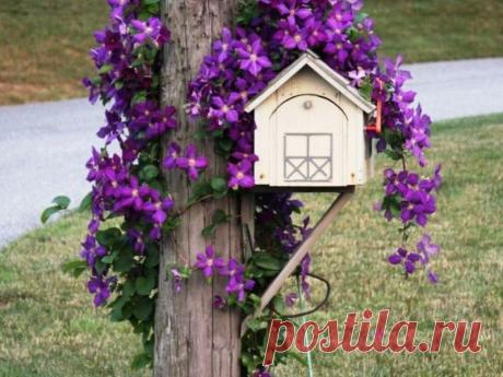 Как украсить столб на дачном участке: фото Интересные варианты декорирования столба на дачном участке: цветочные украшения, конструкции со скворечниками, мозаика и краски.