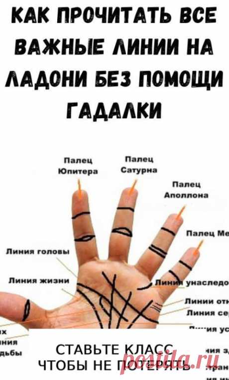 ✅ Нажмите ЗДЕСЬ , чтобы ОТКРЫТЬ !