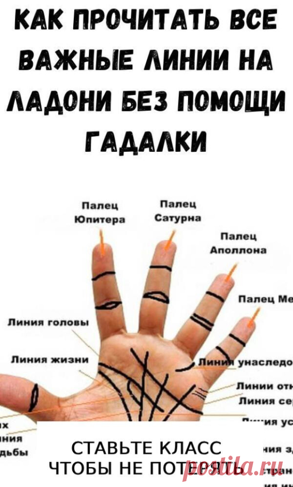 ✅ Нажмите ЗДЕСЬ , чтобы ОТКРЫТЬ !
