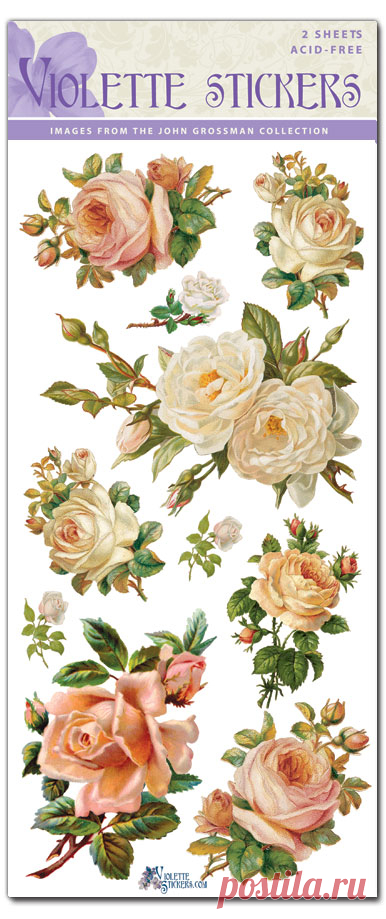Violette Stickers : Archives : Products : 5