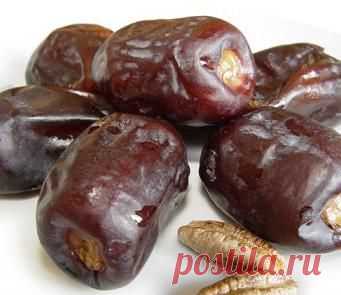 Польза и вред фиников. Противопоказания. Как выбрать? Как растут? | likefoods.ru
