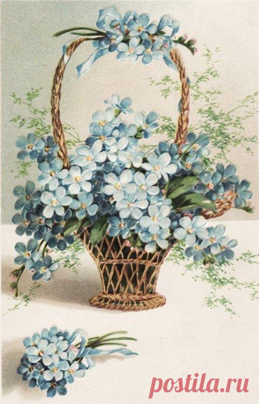 Винтажные открытки. Незабудки