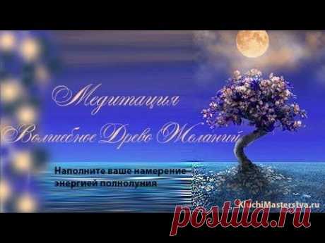 Медитация Волшебное Древо Желаний
