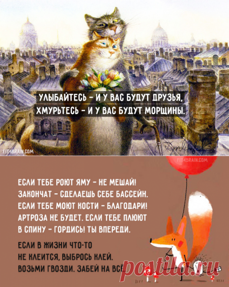 Совет дня | Блог fkmrf123 | КОНТ