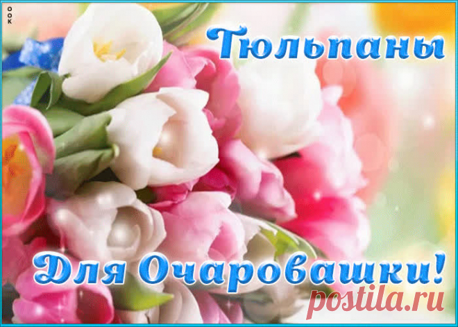 Тюльпаны для очаровашки