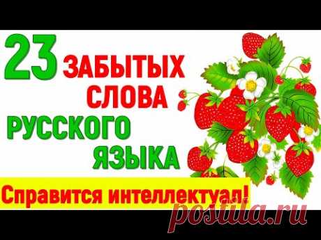 23 ЗАБЫТЫХ СЛОВА РУССКОГО ЯЗЫКА! ТЕСТ ДЛЯ НАСТОЯЩЕГО ИНТЕЛЛЕКТУАЛА! #test #старыеслова #русскийязык