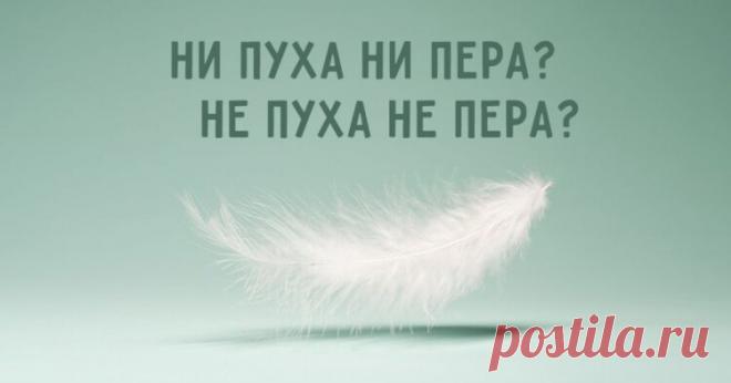 Откуда пошло пожелание «ни пуха…»,. И почему в ответ принято посылать к черту?