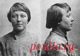 Та самая “Мурка” из Мура