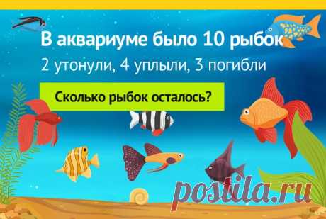 В аквариуме 10 рыбок, задача на логику