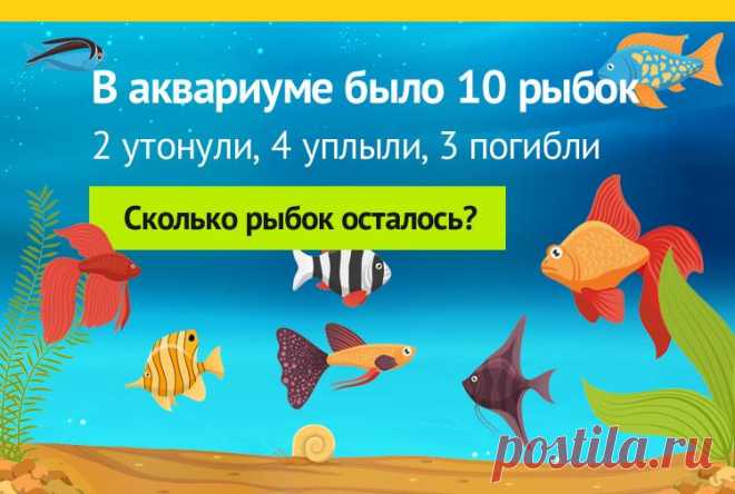 В аквариуме 10 рыбок, задача на логику
