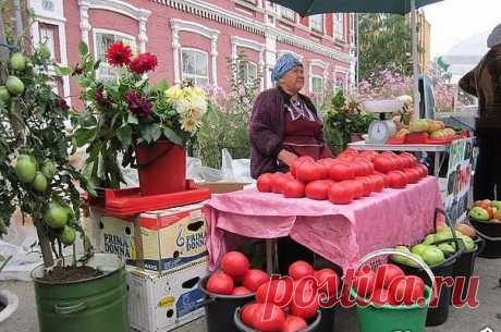 Волшебный бальзам для роста помидоры 

В бочку (200-300 литров) насыпаем одну треть крапивы, ведро коровяка, 2 лопаты золы, 2 кг. дрожжей, 3 литра сыворотки. Настаивается 2 недели.
Полученный состав разбавляем водой в пропорции 1:10 (литровая банка на ведро) и подливаем под корень один раз в 7-10 дней.
Помидоры растут как на дрожжах!