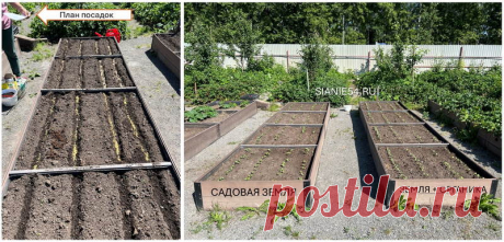 Защита от проволочника — Сияние