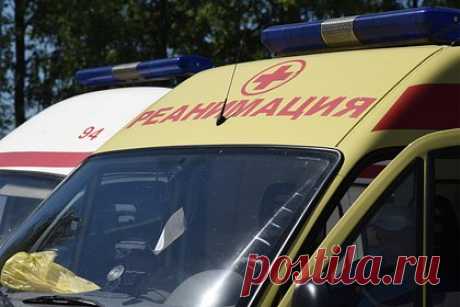Вернувшийся с СВО рецидивист забил до смерти ветерана войны в Чечне