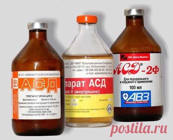 ВАЖНО! ЭТО НУЖНО ЗНАТЬ КАЖДОМУ! АСД!!!

Уже более 60и лет существует уникальное лекарство от большинства болезней, которое вы можете свободно купить хоть сегодня, но официальная медицина замалчивает это.

В этой статье вы найдёте всё о препарате АСД и сможете обходиться без дорогих лекарств! Ведь он стоит буквально копейки. Естественно, что это не выгодно для фармацевтических корпораций.

Преамбула:

Недавно в одном из архивов НКВД была найдена докладная записка от Л.П. Бе...