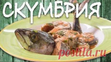 Божественная СКУМБРИЯ. От этого рецепта вы сойдете с ума!!!