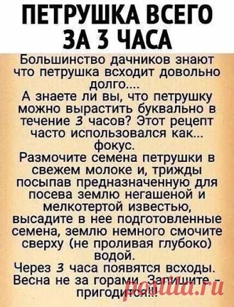 Для любителей что-то выращивать!