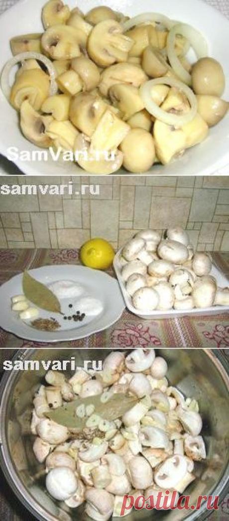 Мировое угощенье! Шампиньоны, маринованные без уксуса - Простые рецепты Овкусе.ру
Ингредиенты :
шампиньоны - 500гр.;
соль - 1,5 ч.ложки;
сахар - 1ч.ложка;
сок лимона - 60мл.;
вода - 200 мл.;
чеснок - 3 зубка;
семена укропа, лавровый лист;
перец черный горошек - 10 горошин;