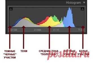 Как научиться читать и понимать гистограмму