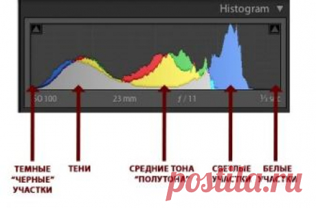 Как научиться читать и понимать гистограмму
