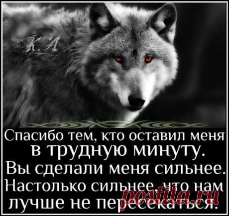 ЖЕНСКИЙ ЖУРНАЛ
