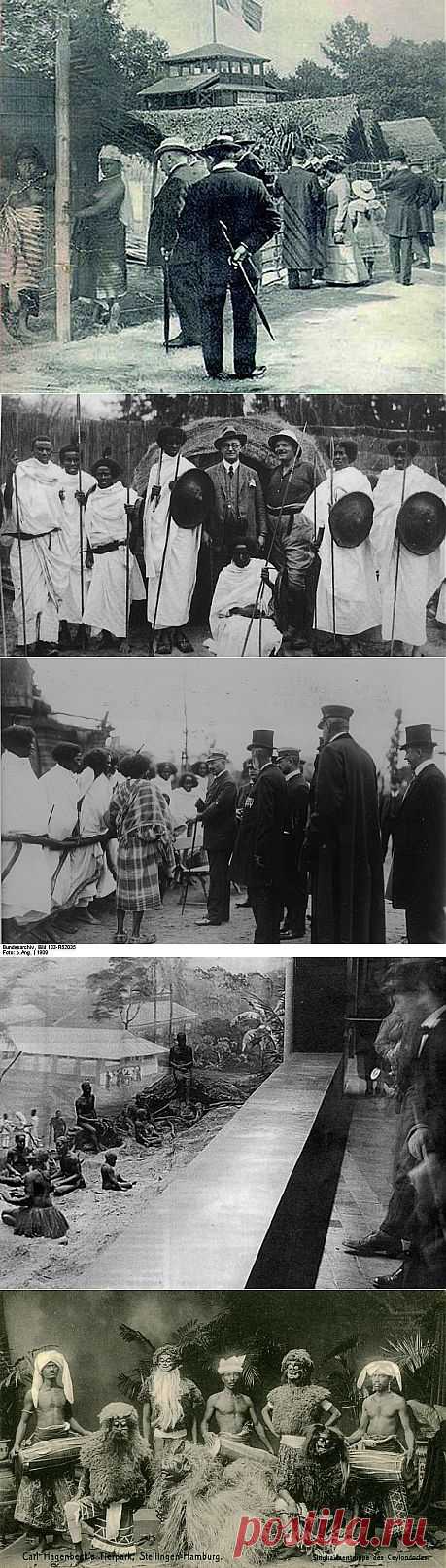 Негры в зоопарках Европы | Толкователь