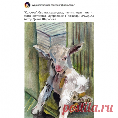 козочка