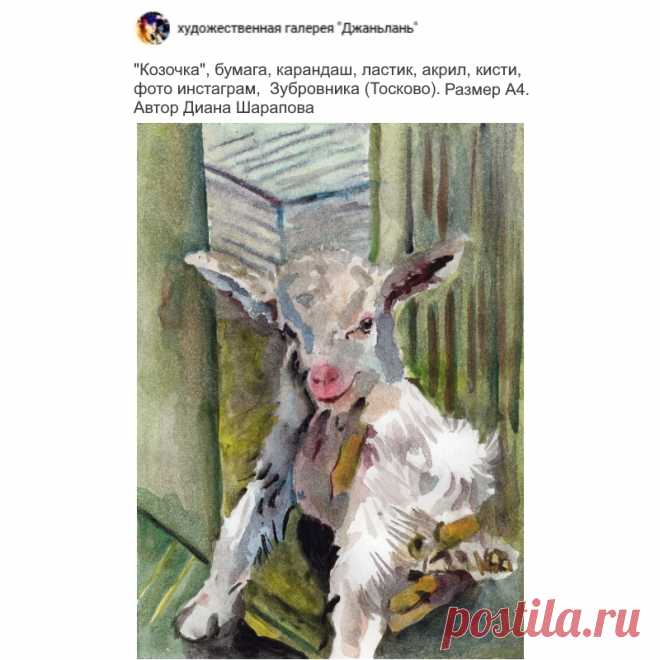 козочка