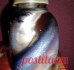 Хозяюшка. Кушать подано! - Как засолить селёдку