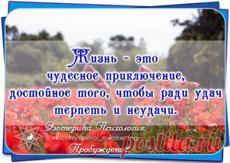 Новости
