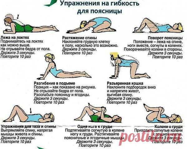 Секреты здоровья гибкость поясницы
