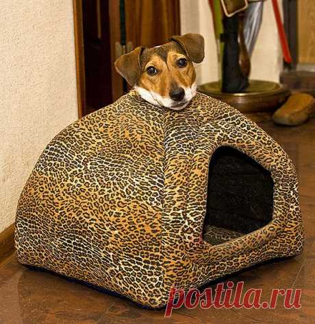 Головастый домик