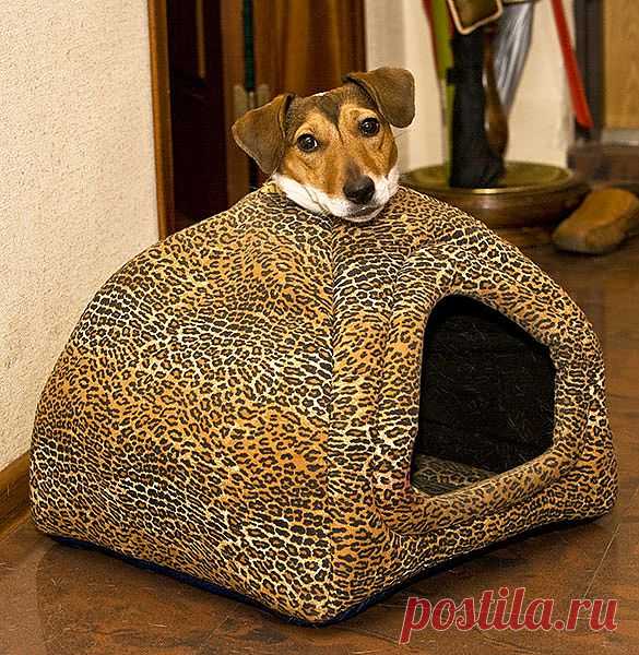 Головастый домик