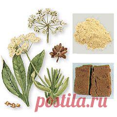 Купить Асафетида молотая, 15% концентрации, 50 грамм по цене 25.00 грн. Аюрведа Veda Life f.hdtlf