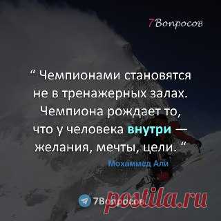 7Вопросов “ Чемпионами становятся не в тренажерных залах. Чемпиона рождает то, что у человека внутри — желания, мечты, цели. “ © Мохаммед Али