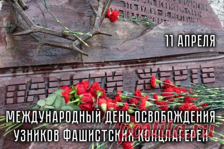 Уважаемые земляки! 11 апреля мы чествуем выживших и вспоминаем тех, кто погиб в фашистских застенках. Мы гордимся вашей стойкостью и низко кланяемся за мужество. Открытки на День освобождения узников фашистских концлагерей!