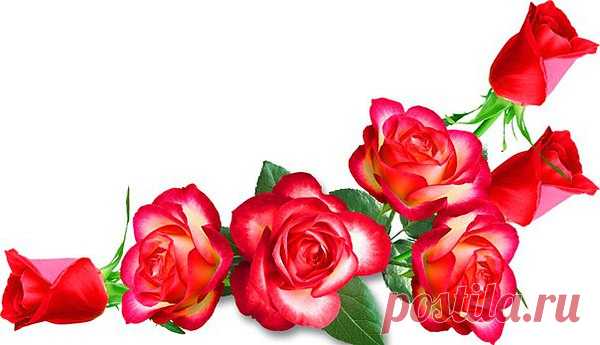 Будь человеком, человек!
Чего б ты в жизни не добился,
Не забывай как краток век,
Дай Бог, чтоб ты с пути не сбился.
Чтоб был твой каждый день богат
На встречи, на людей хороших,
Чтоб чист и ясен был твой взгляд,
И чтоб любовь не стала ношей.
Старайся быть самим собой,
Других при этом уважая,
Живи в согласии с душой,
Зла не тая и всех прощая.
Будь человеком, человек,
И, если высоко забрался,
Других, кто не набрал разбег,
Понять всегда ты постарайся!