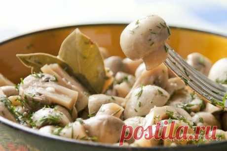 Грибочки в легком маринаде