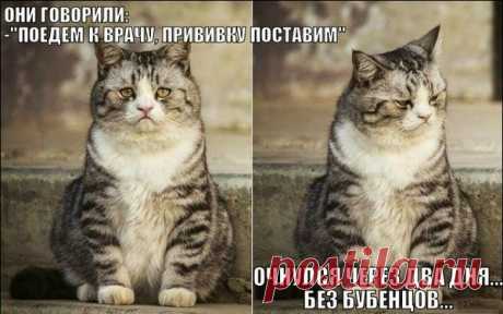 Светлана Квятковская