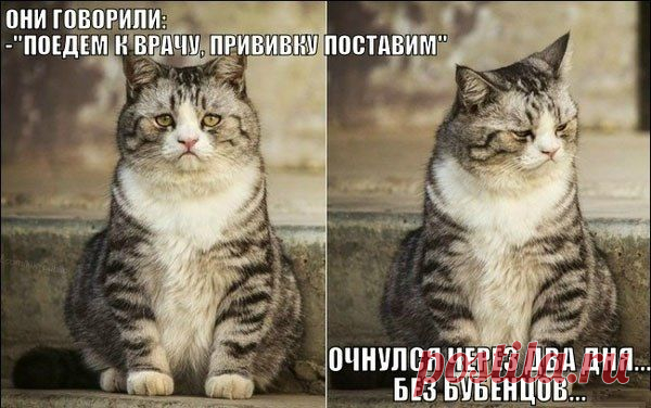 Светлана Квятковская