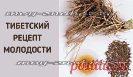 Укроп, мёд, валериана - сосуды без изъяна