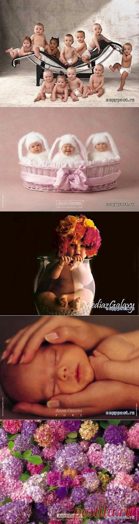 Дети (работы Anne Geddes) - Блоги -