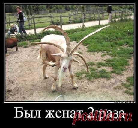 Интересные новости